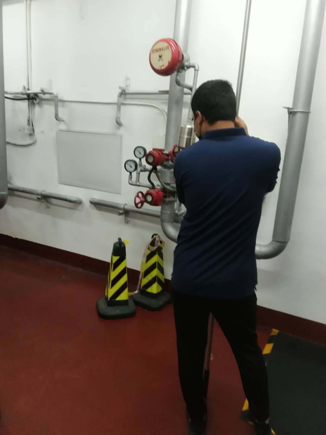 顺义草莓在线观看视频免费维保 顺义草莓在线观看视频免费维保