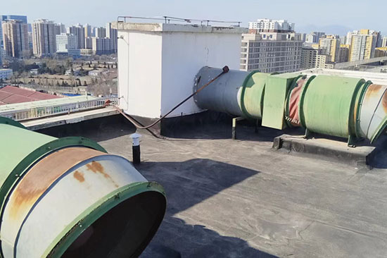 草莓在线观看视频免费通风检测都要检测